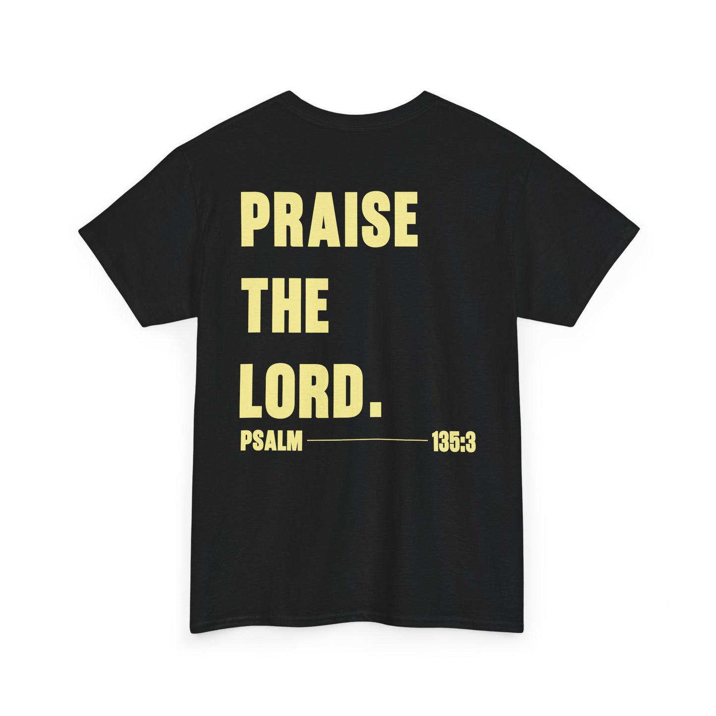*NEW* Praise the Lord Tee (Adult)