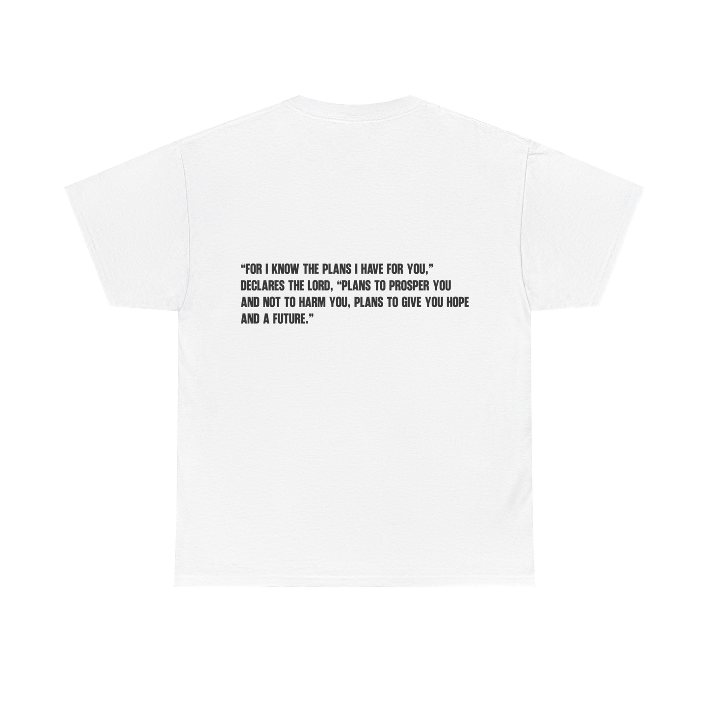 *NEW* GOD'S PLAN Tee (Adult)