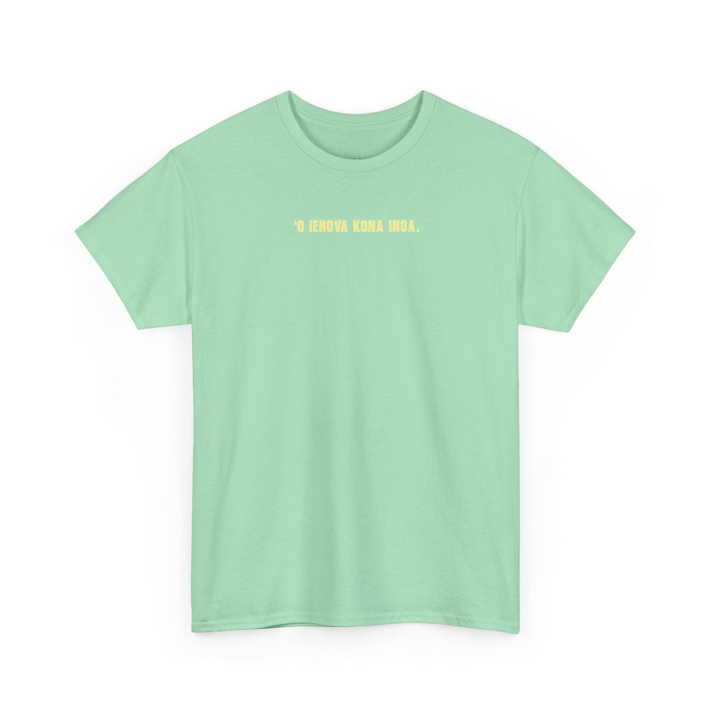 *NEW* Praise the Lord Tee (Adult)