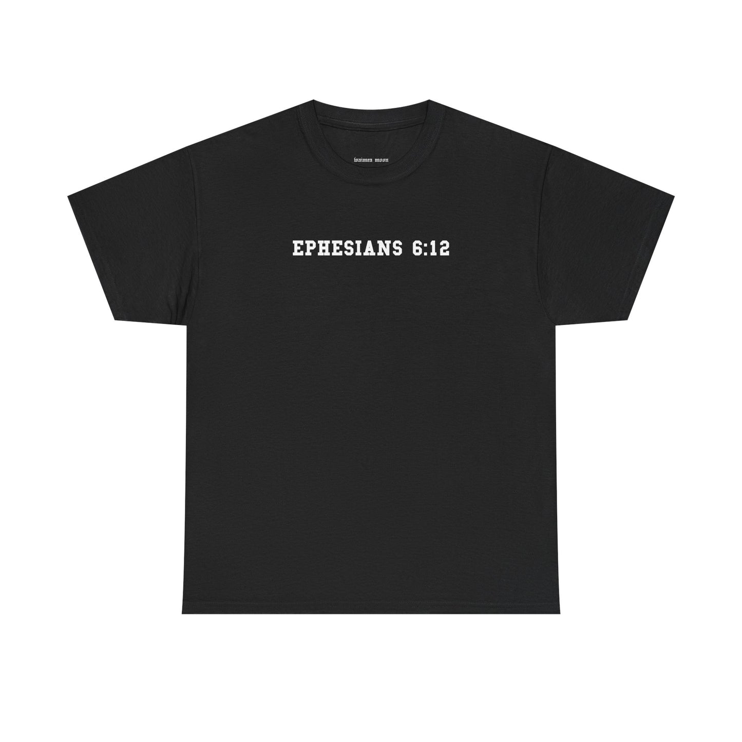 EPHESIANS 6:12 Tee (Adult)