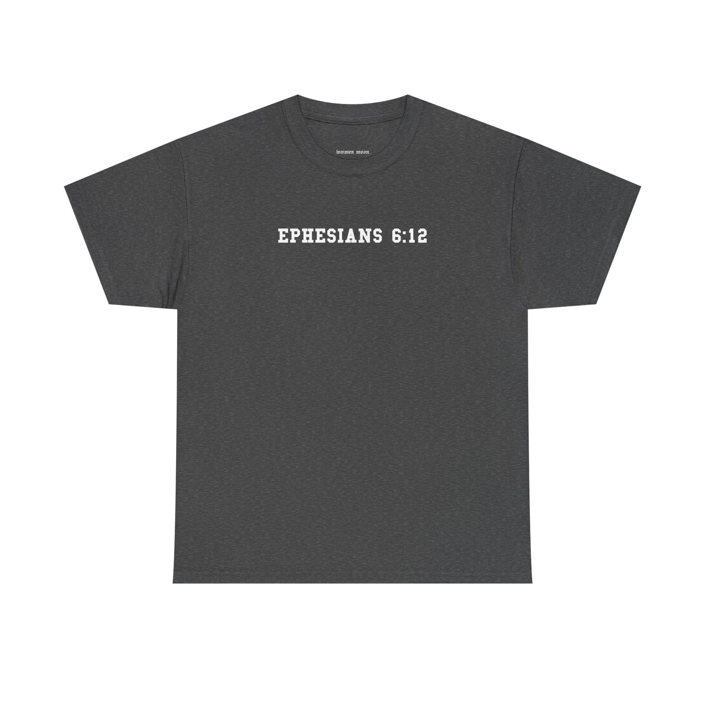EPHESIANS 6:12 Tee (Adult)