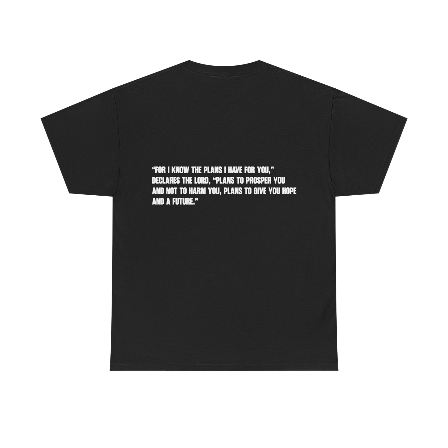 *NEW* GOD'S PLAN Tee (Adult)