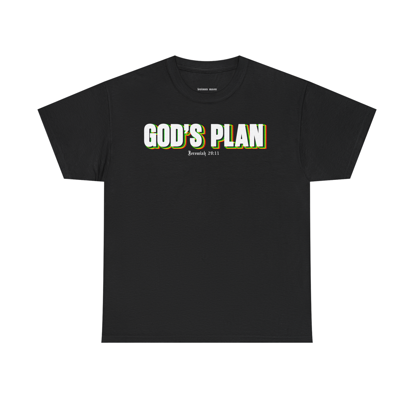 *NEW* GOD'S PLAN Tee (Adult)