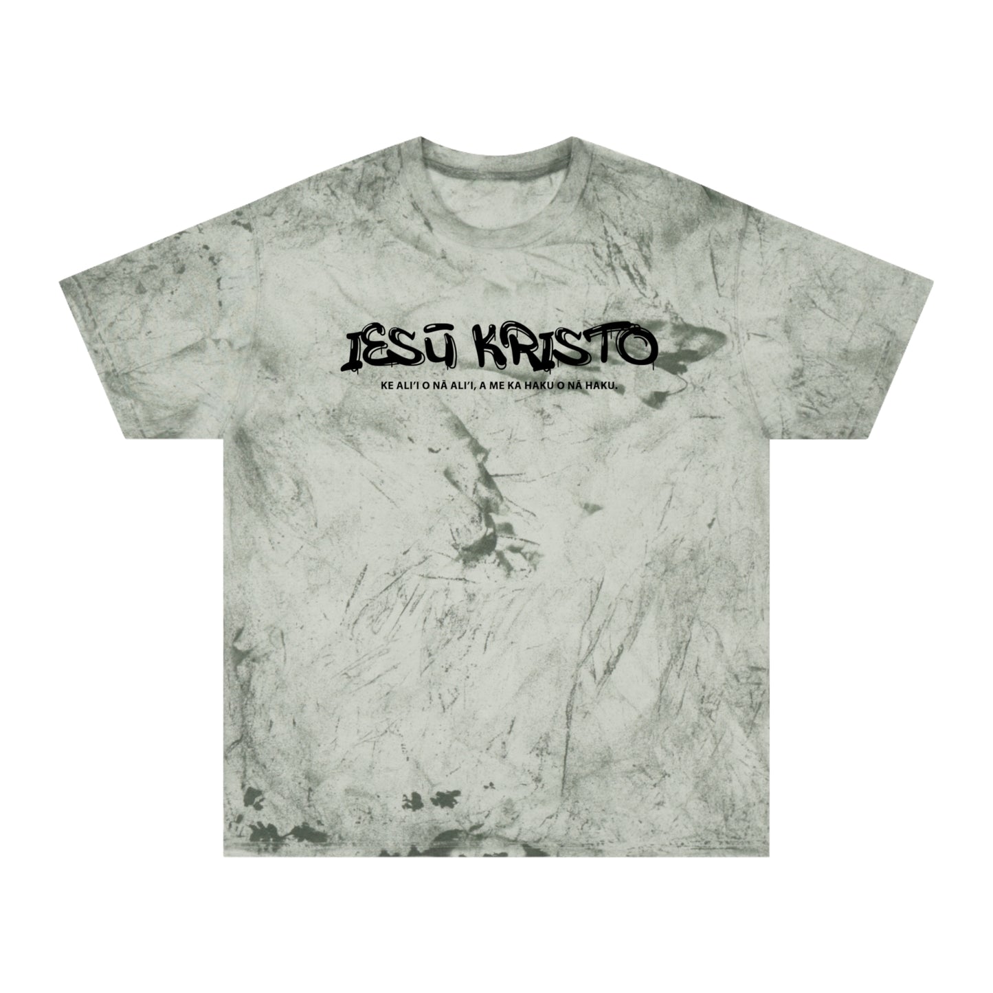 *NEW* REVELATION 19:16 Tee (Adult)